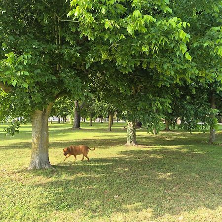 Villa Sabaudia Ngoại thất bức ảnh